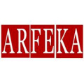 Стальные мойки ARFEKA